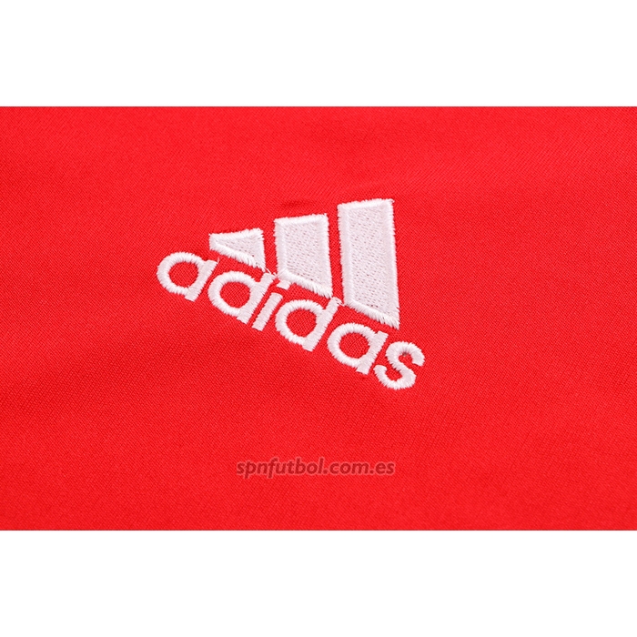 Chandal del Bayern Munich Manga Corta 2022-2023 Rojo